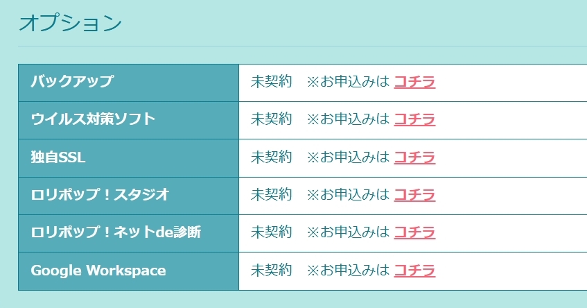 基本情報の下に続くオプション項目
